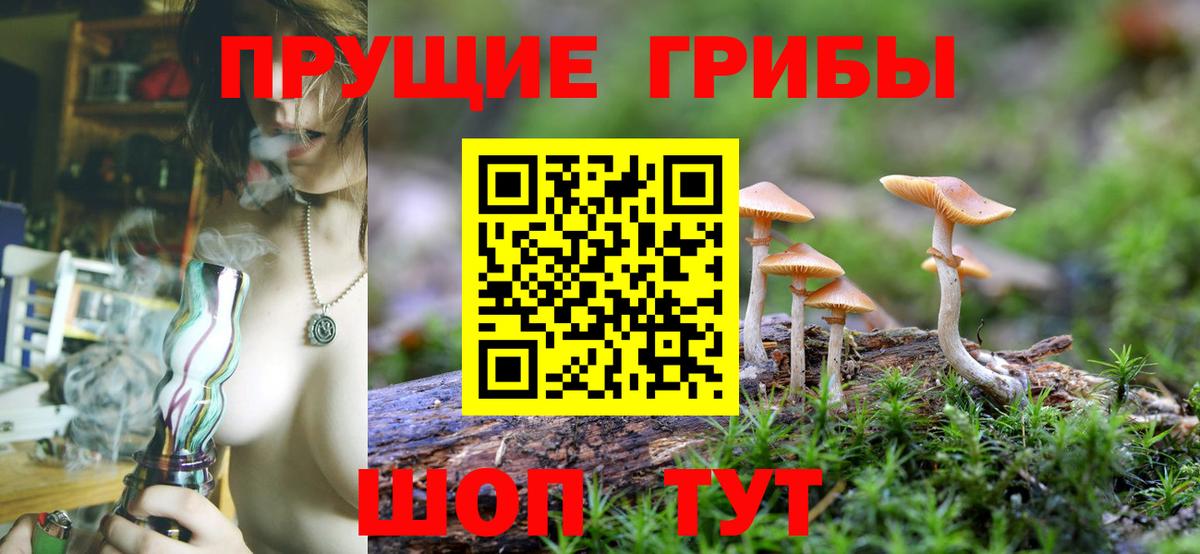 Псилоцибиновые грибы прущие грибы Касимов