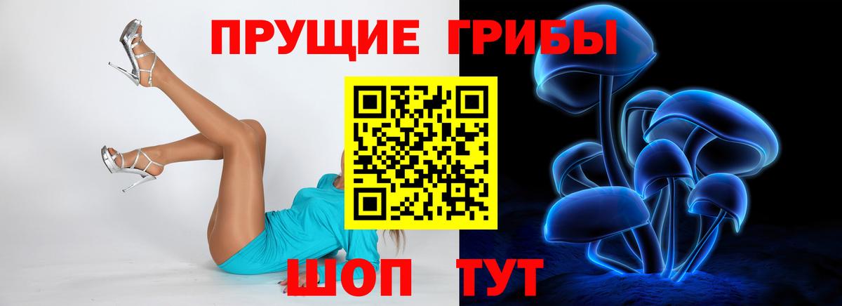 Псилоцибиновые грибы прущие грибы  Вход с VPN  Касимов 